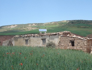 SunPower sets sights on Africa through Total partnership