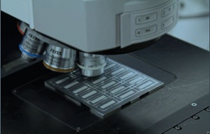 First Solar world record for CdTe solar brings thin-film closer to silicon