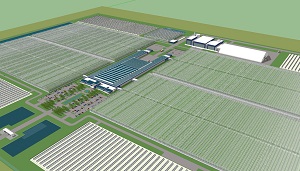 Greenhouse, solar thermal and biomass cogeneration system on one site