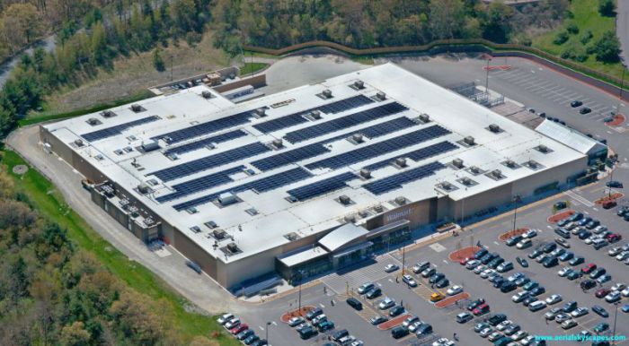 Greenskies' installation at the Walpole, MA store. Courtesy Greenskies.