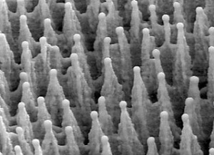 Natcore wins grant, teams with NREL on black silicon