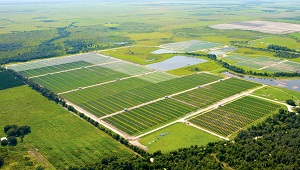 Southeastern U.S. to get first giant, 400 MW, PV project