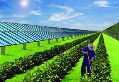 Keystone Solar Project, Courtesy of Community Energy