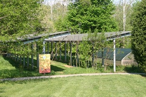 Recapping the world's solar power news 