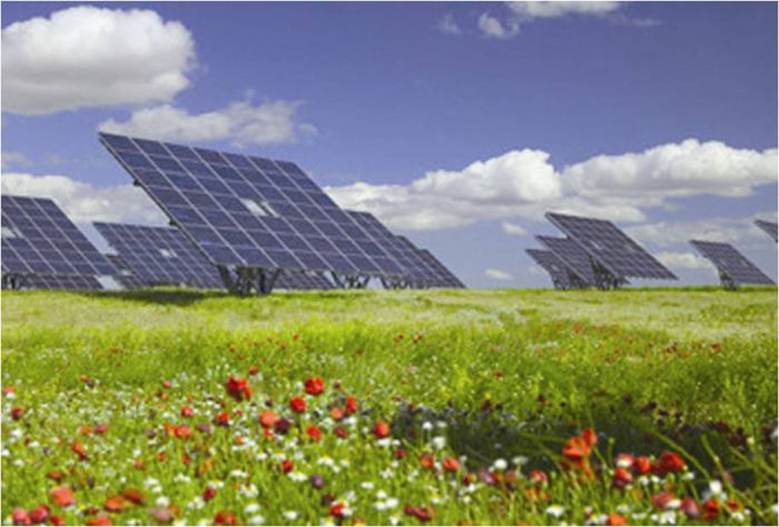 Solar farm