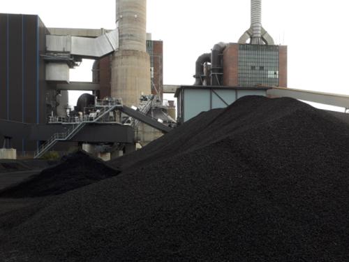 CEG renewable black pellets
