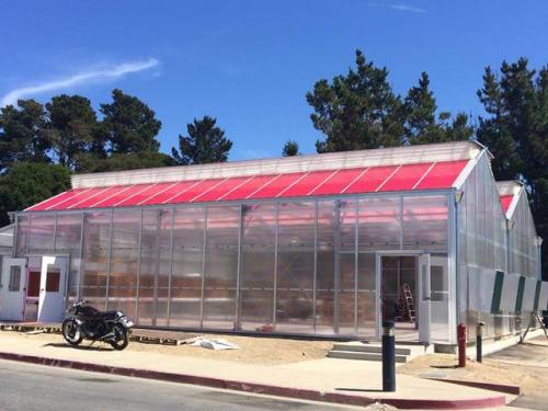 Solar Panels On Greenhouse
