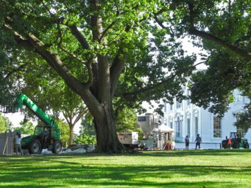 Whitehouse getting solar panels