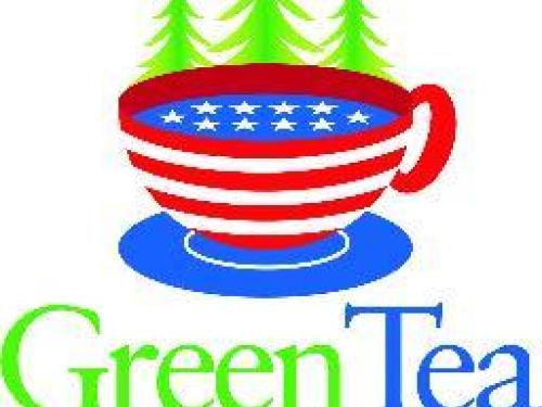 Tea Party conservatives are rallying for solar