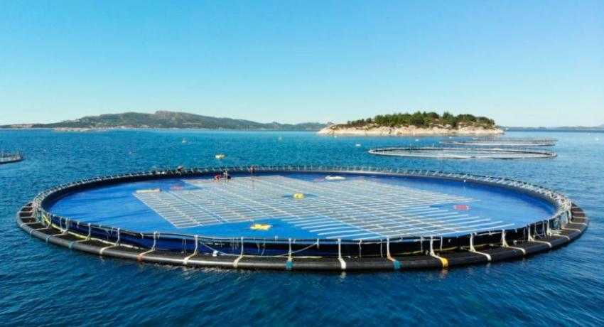 Ocean Sun Floating Solar Panels