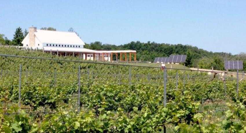 Brengman Brothers Crain Hill Vineyard