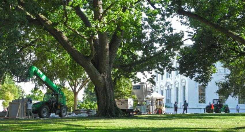 Whitehouse getting solar panels
