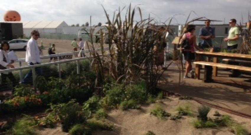 DC team donates solar house to veteran