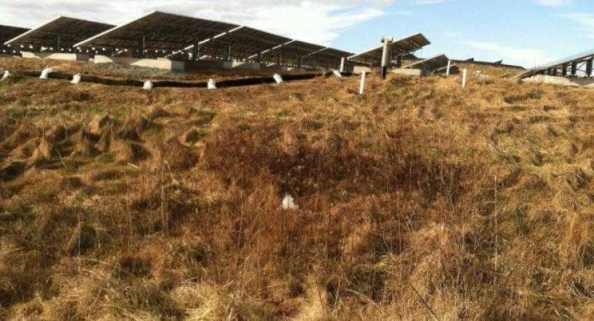 Mass city saving with solar