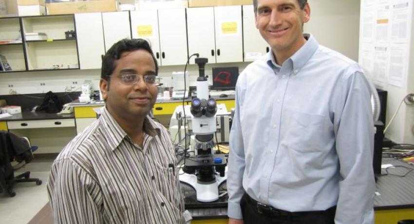 Michael Free and Prashant Sarswat