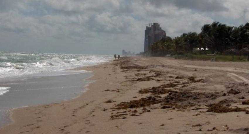 Future for solar not so bright in the Sunshine State