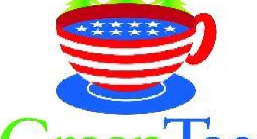 Tea Party conservatives are rallying for solar